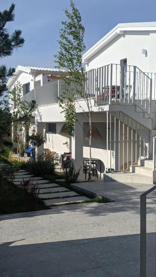 The Pines - Experiment Favelas Vama Veche Exterior photo